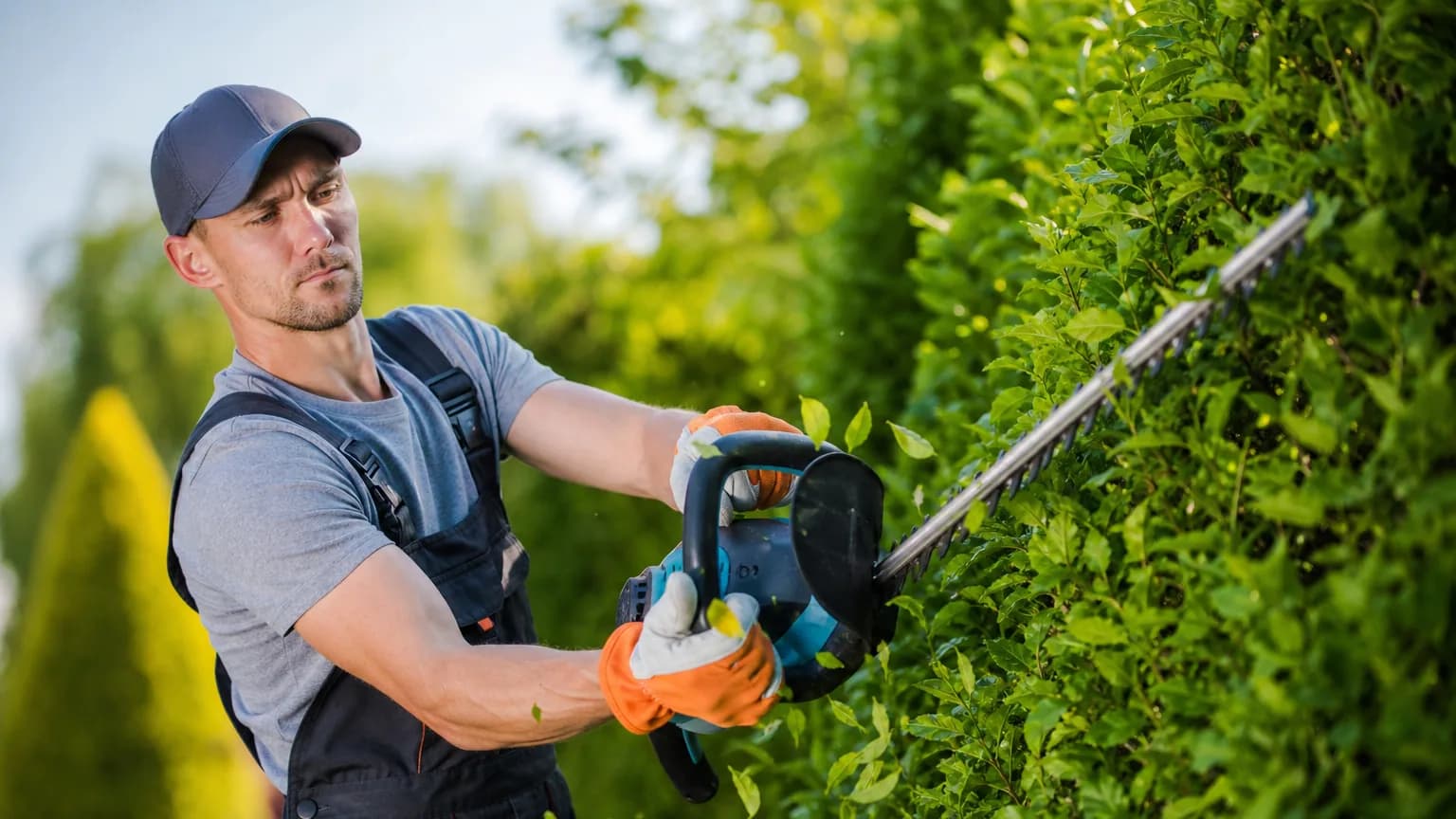 Taille-haie électrique en action sur une haie verte dans un jardin ensoleillé
