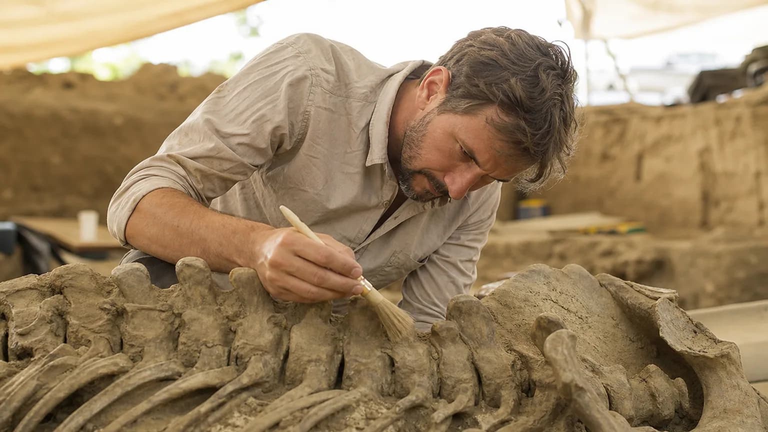 Une paléontologue dégageant délicatement un fossile au pinceau sur un site de fouilles